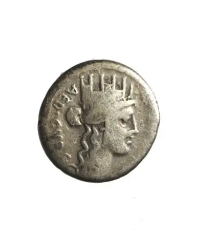RZYM-REPUBLIKA - A.PLAUTIUS (55 p.n.e.) AR-denar