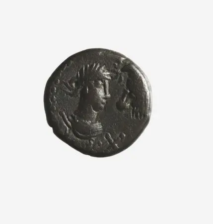 KRÓLESTWO BOSFORAŃSKIE RISKUPORISVI (314-341) stater AE 20