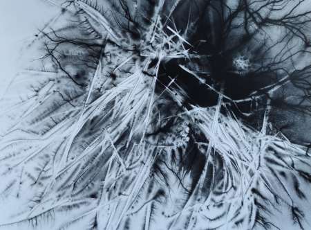 eta-TRAHERE-403, 2022