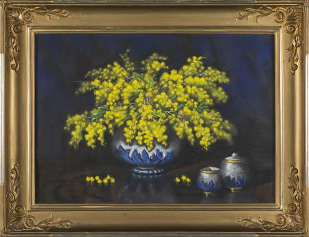 Mimozy