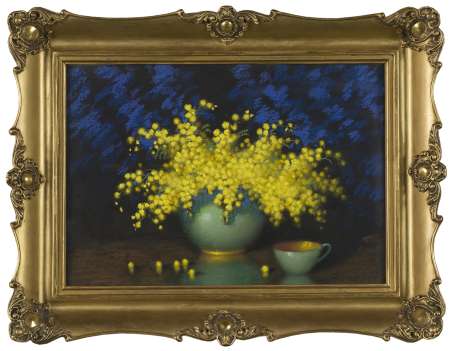 Mimozy