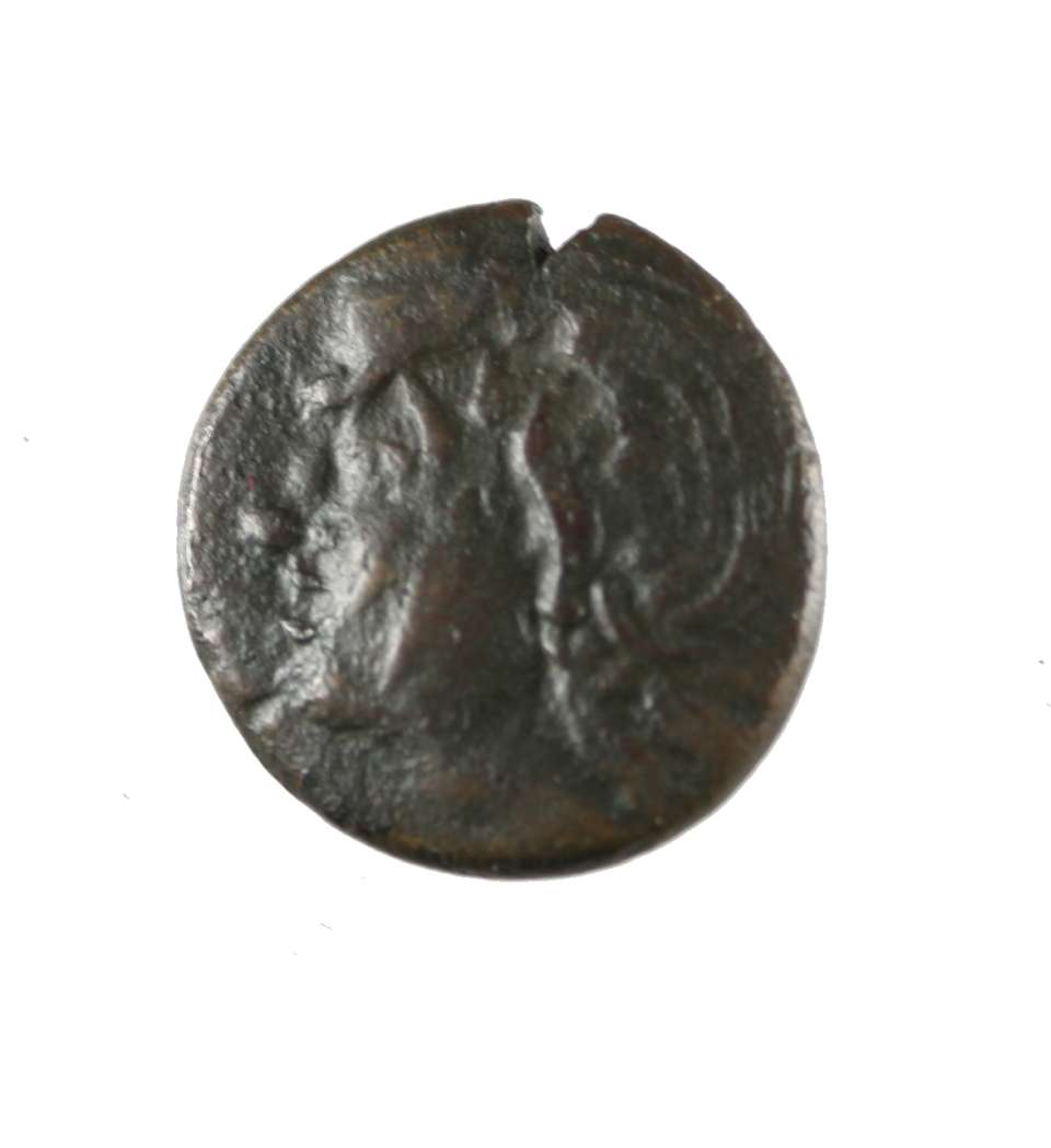  TRACJA, PANTIKAPAION (kolonia Miletu) IV/III PNE, brąz z PANEM