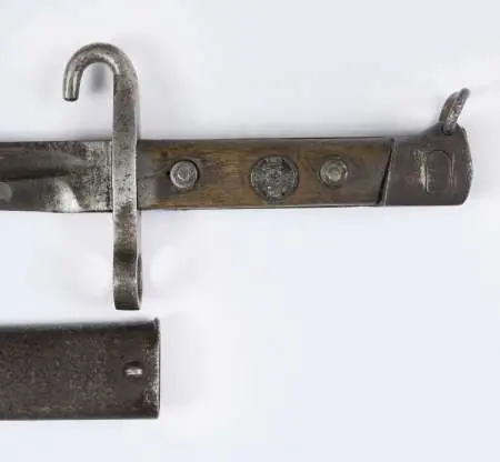 Bagnet Austro - Węgry 1895
