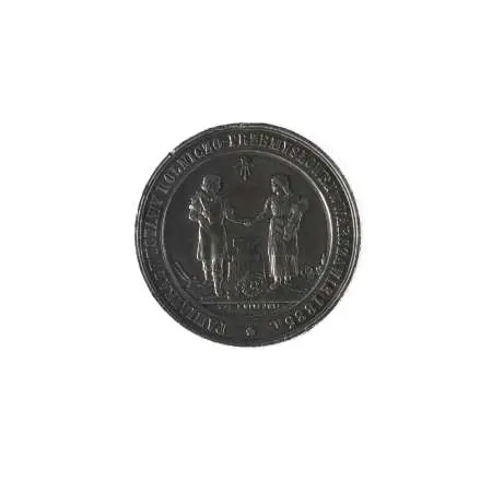Medal Pamiątka z Wystawy Rolniczo - Przemysłowej w Warszawie 1885
