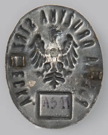 Odznaka Polska Drużyna Strzelecka