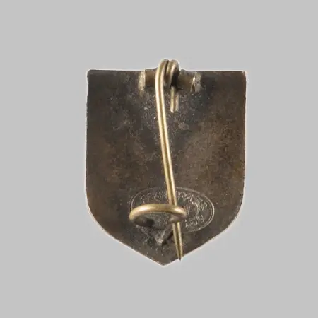 Odznaka Naczelny Komitet Narodowy