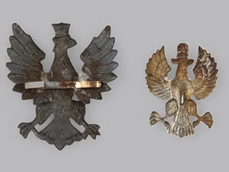 Zestaw 2 orłów