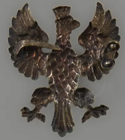 Orzeł "wielkopolski"