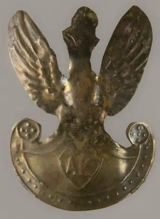 Orzeł wg wz. 19 z literami AK na tarczy amazonek