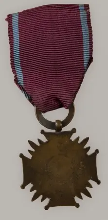 Brązowy Krzyż Zasługi