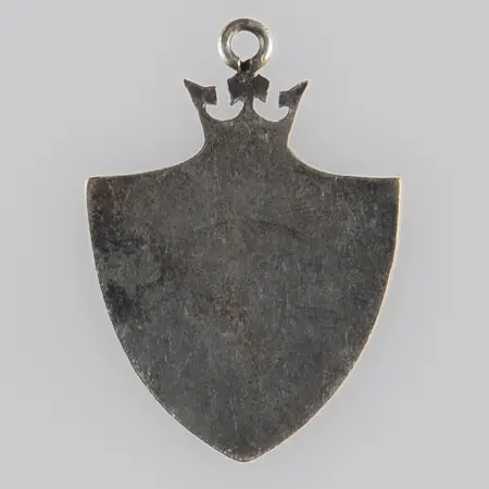 Odznaka patriotyczna, Naczelny Komitet Narodowy 16.VIII-1914