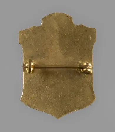 Odznaka Legiony Polskie - kappenabzeichen