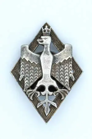 Odznaka pamiątkowa Armia Generała Hallera 1921 rok