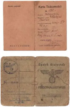 Zestaw dokumentów rodziny Matejko - 2 sztuki