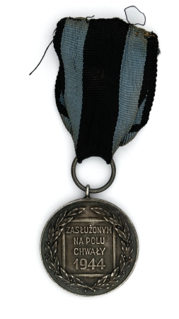 Medal Zasłużonym na Polu Chwały- wersja bez sztandarów