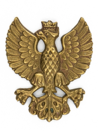 Orzeł wielkopolski