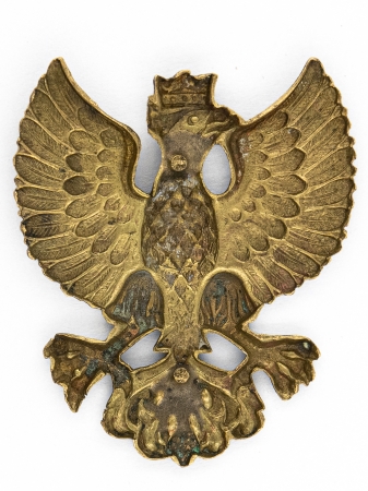 Orzeł wielkopolski