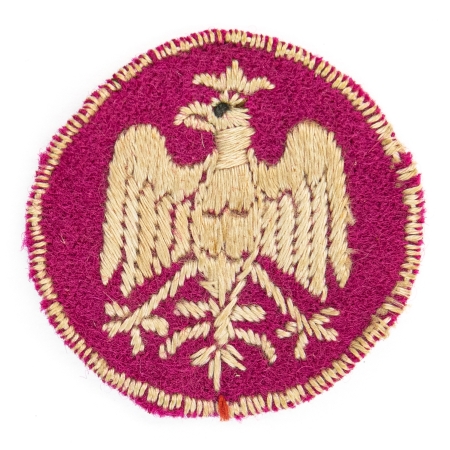 Orzeł Armia Polska we Francji