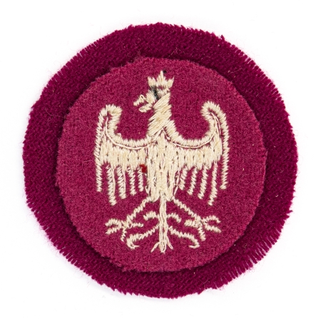 Orzeł Armia Polska we Francji (kokarda)
