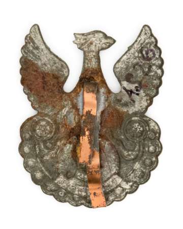 Orzeł z wizerunkiem Józefa Piłsudskiego oraz falistą dolną krawędzią tarczy amazonek