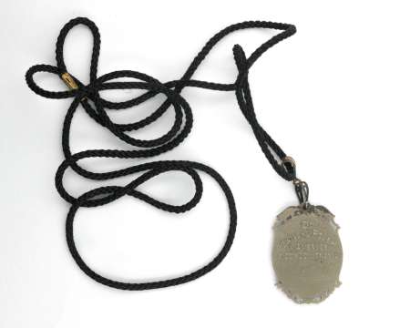 Medal Związek Polek w Ameryce