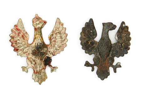 Zestaw 2 orłów "wielkopolskich"