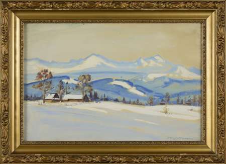 Zimowy pejzaż górski