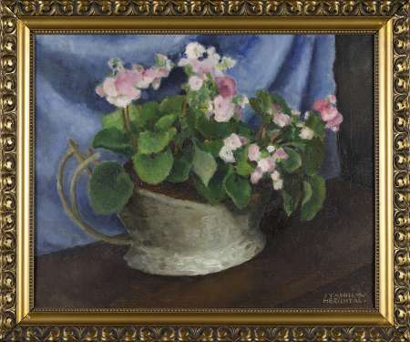 Kosz fiołków alpejskich