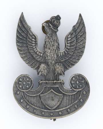 Orzeł z kanelowaną tarczą amazonek Wielka Brytania