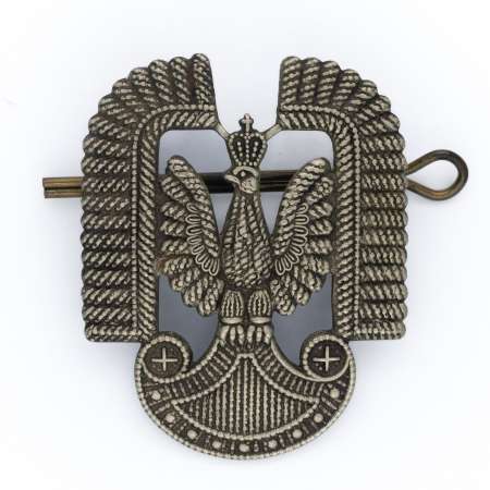 Orzeł lotniczy o powierzchni odwzorowującej rysunek bajorka