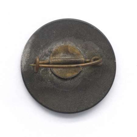 Odznaka patriotyczna Józef Haller 1919