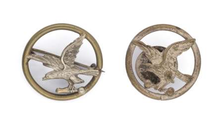 Zestaw 2 Odznak Towarzystwa Gimnastycznego Sokół