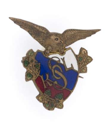 Odznaka Towarzystwa Gimnastycznego Sokół, Zaszczytna Odznaka Sokoła