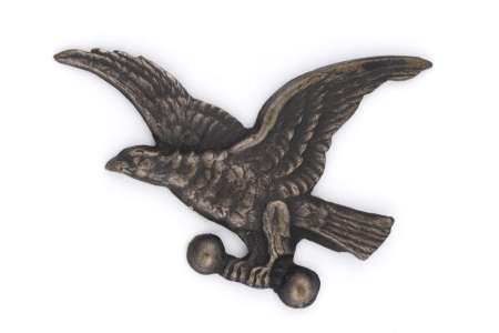 Odznaka Polskiego Towarzystwa Gimnastycznego Sokół