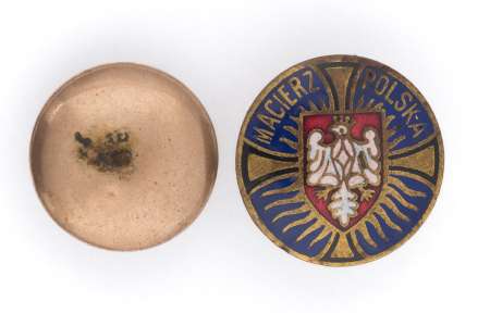 Odznaka MACIERZ POLSKA w USA