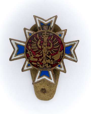 Miniatura Związek Narodowy Polski w USA przed 1913