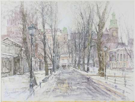 PLANTY Z WIDOKIEM NA WAWEL