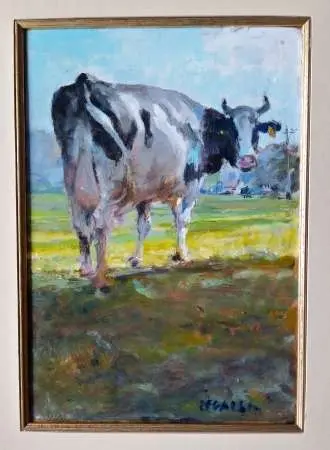 Krowa