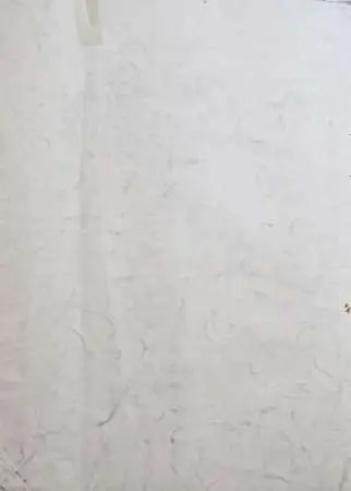 Portret młodej kobiety, 1882