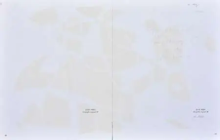 Litografia III i IV, 1975