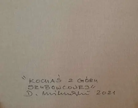 Kochaś z Góry Szybowcowej