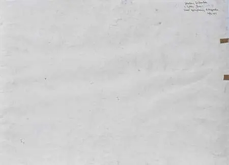 Szał grzybowy. Z cyklu 'Las', 1958