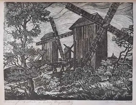 Wiatraki w Izbicy Kujawskiej