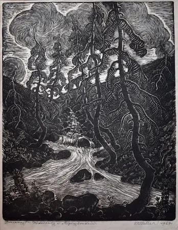 Wodospady w Międzybrodziu