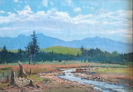 Pejzaż górski ze strumieniem