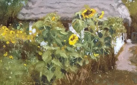 Słoneczniki w Sierpcu 