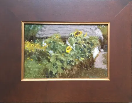 Słoneczniki w Sierpcu 