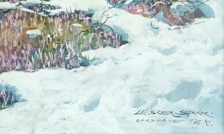 Zakopane - Chata w górach