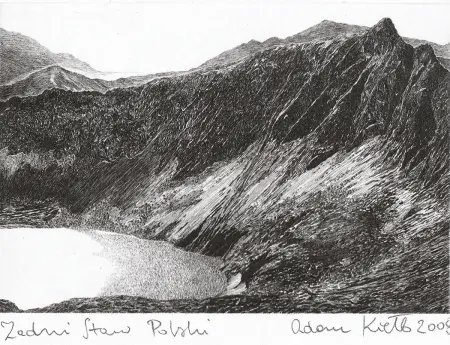 Zadni Staw Polski, 2008