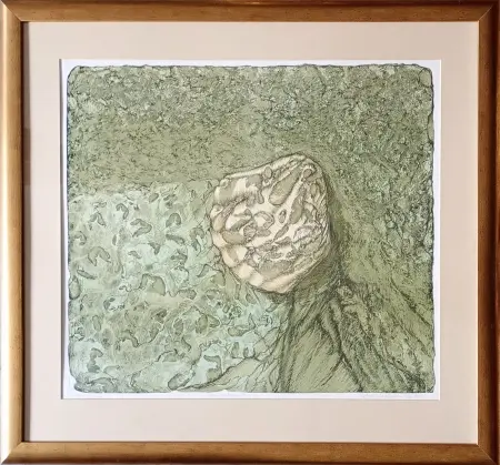 Historia naturalna VII, edycja 6/12